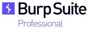 Burp Suite Professional Web Vulnerability Scanner 1 User 3 Year License Subscription